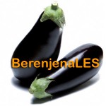 programa-berenjenales