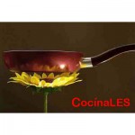 programa-cocinales
