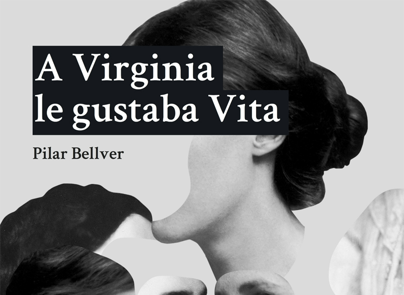 34537_a-virginia-le-gustaba-vita-portada