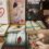 Artisteando: Novedades y novedades para Sant Jordi. Recomendaciones desde Librería Cómplices