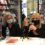 Presentación de la novela "Insurrectas", de Mila Martínez (con spoiler incluido)